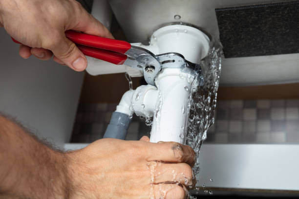 Best Professional water damage repair  in Kalaeloa, HI