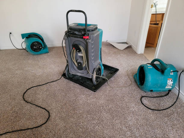 Best Flooded house restoration  in Kalaeloa, HI