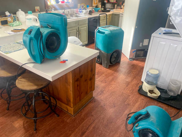 Best Water damage restoration near me  in Kalaeloa, HI