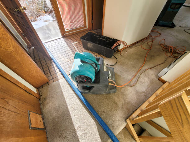 Best Commercial water damage restoration  in Kalaeloa, HI