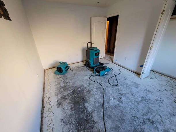  Kalaeloa, HI Water damage restoration Pros