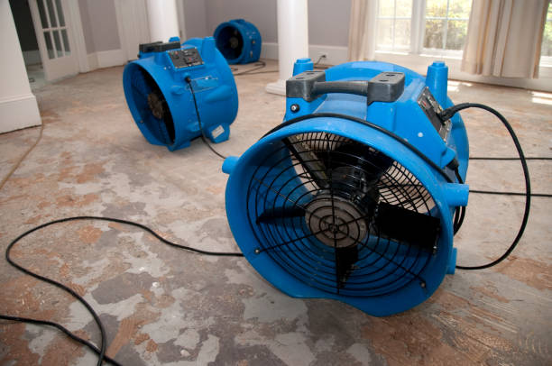 Best Local water damage restoration  in Kalaeloa, HI
