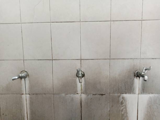 Best Flood restoration services  in Kalaeloa, HI