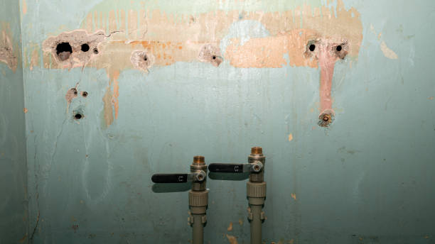 Best Water damage restoration experts  in Kalaeloa, HI