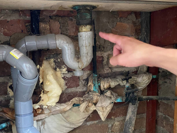 Best Flooded house restoration  in Kalaeloa, HI