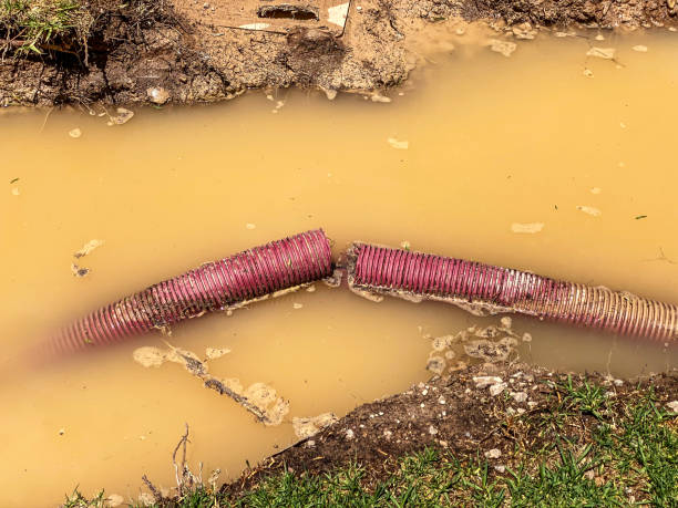 Best Emergency water extraction  in Kalaeloa, HI