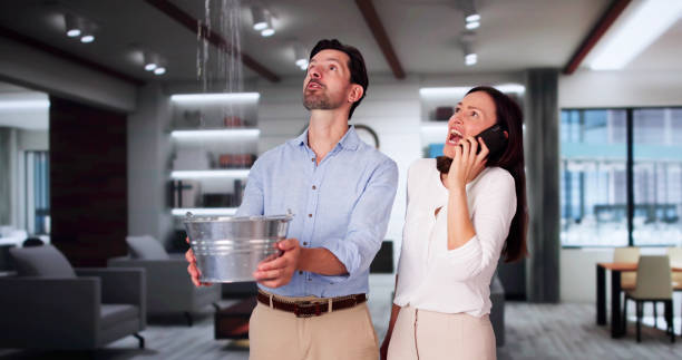 Best Water damage contractors near me  in Kalaeloa, HI