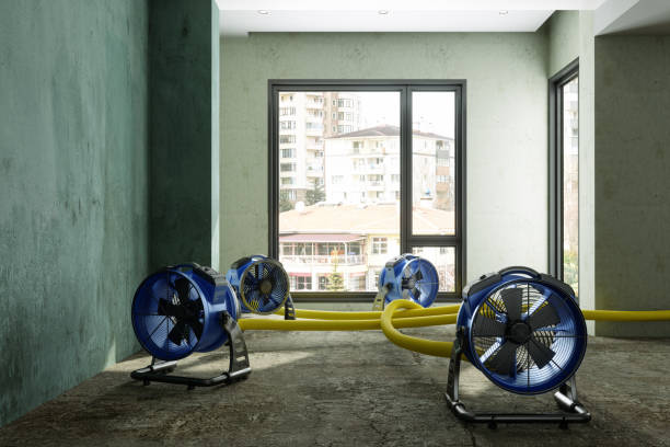 Carpet water damage restoration in Kalaeloa, HI